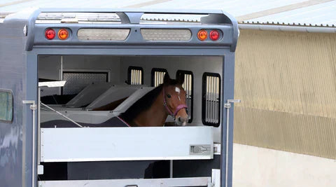 Top tips for keeping your horse healthy when traveling!