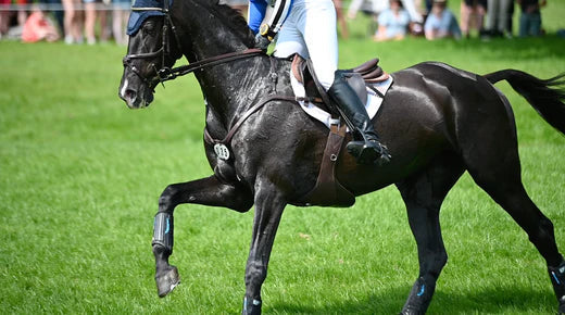 Performance & Recovery Pellets FAQs