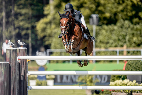 Victoria Gulliksen and Equine America Papa Roach