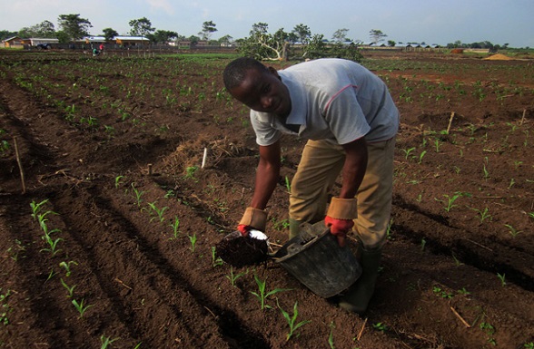 Un jeune entrepreneur agricole en plein champ pour semer les bonnes graines.