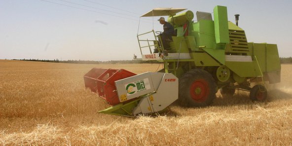 À quelles conditions l’agriculture algérienne pourrait-elle décoller ?