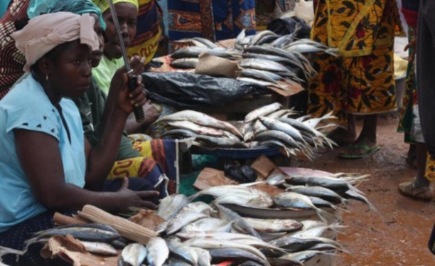 Sénégal : le secteur informel représente 41,6% du PIB
