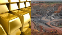 ​ Une hausse de 18,9% des exportations en mars au Sénégal avec l'or, l'acide et le poisson en...