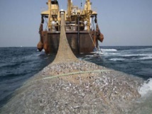 ​La fraude sur le tonnage organisée autour de la pêche