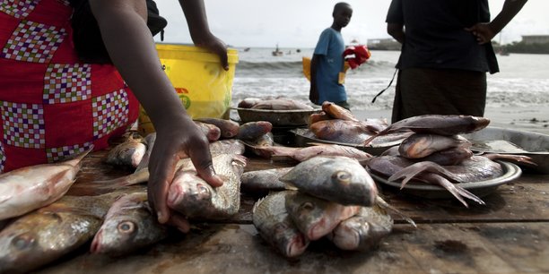 Pêche : l'UE se félicite d'un partenariat gagnant-gagnant avec le Gabon