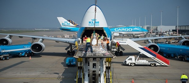 Air France KLM Cargo devient le premier groupe de compagnies aériennes à adopter Dg AutoCheck