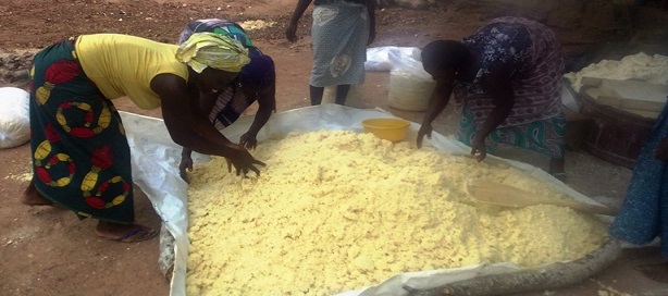 La BAD lance des programmes en faveur des Pme agroalimentaires dans 7 pays africains dont le Sénégal