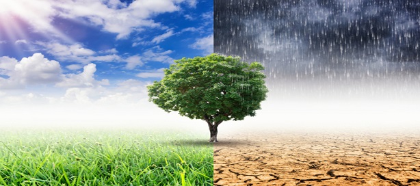 Réaliser les engagements de Paris en matière de changement climatique