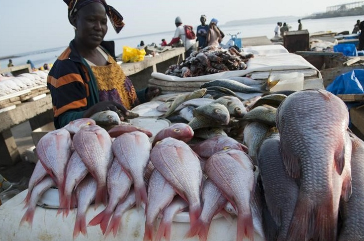 Pêche et aquaculture : une hausse de 204 millions de la production de poissons attendue en 2030