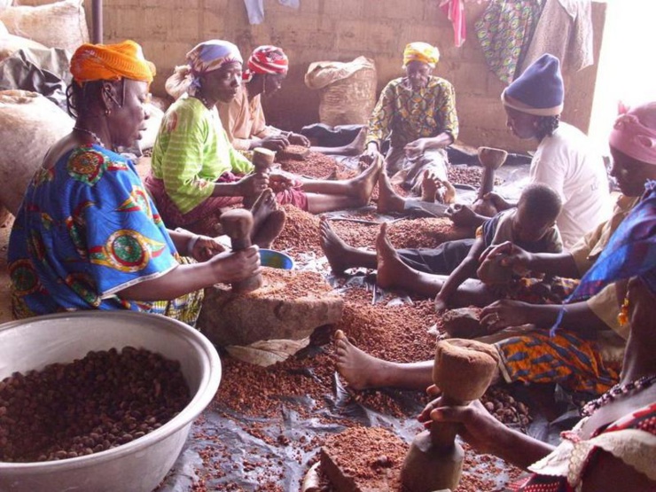 Filière karité au Burkina Faso.
