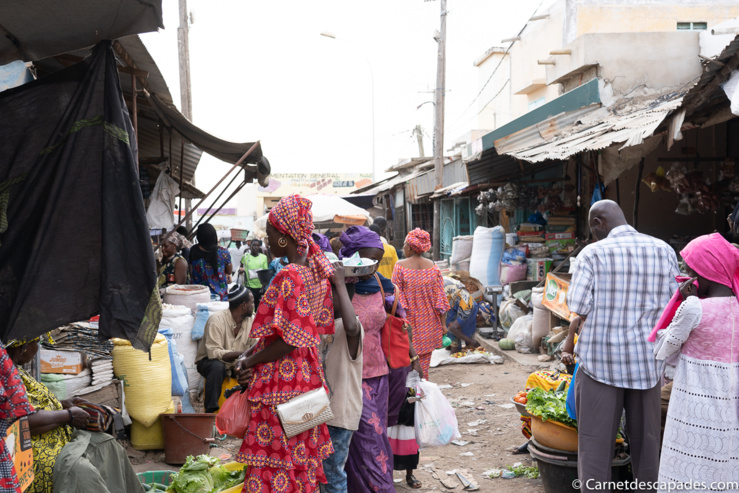 Covid 19 au Sénégal : poursuite des contaminations issues de la transmission communautaire
