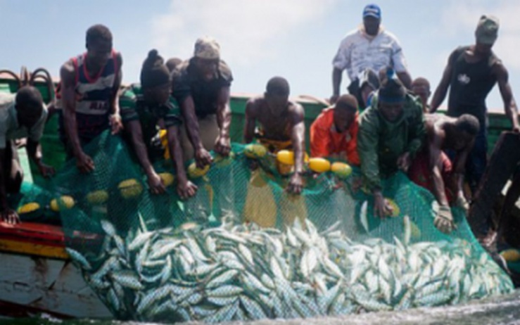 Journée mondiale de la pêche au Sénégal.