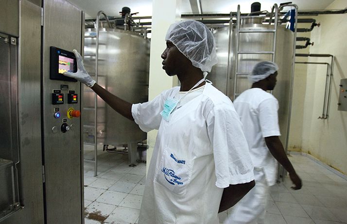 Sénégal : AgriFI investit 600 000 euros dans la laiterie du berger