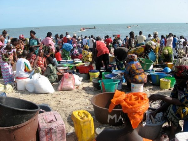 Femmes mareyeuses Sénégal