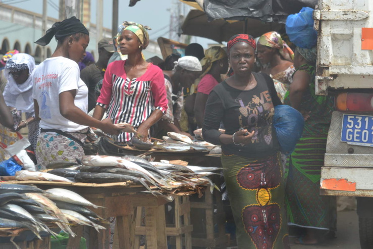 Emploi en Côte d’Ivoire : il est presque entièrement informel