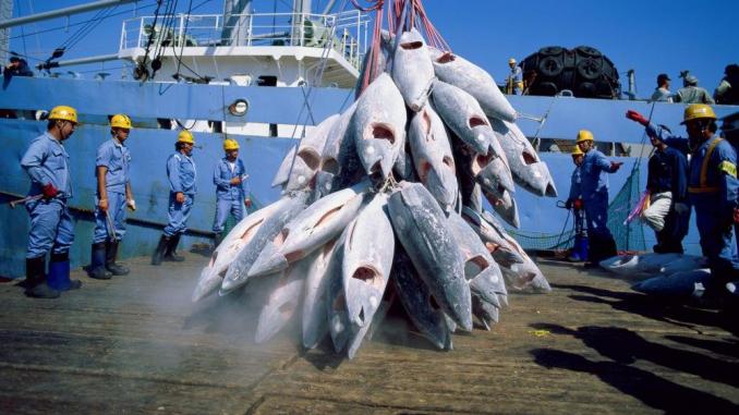 l’union européenne évalue les accords de partenariat dans le domaine de la pêche durable
