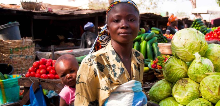 Mali : vers la création d’agropoles ou zones spéciales de transformation agro-alimentaire
