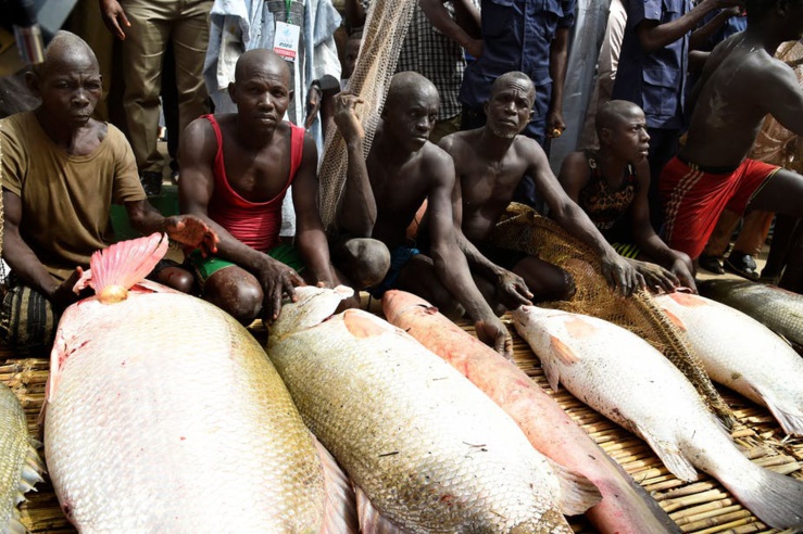 Nigéria : le développement socio-économique menacé par la pêche illégale