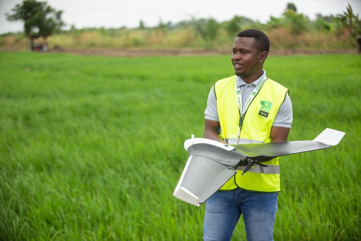 Les agriculteurs ghanéens ne voient pas tous les fruits d'une révolution verte