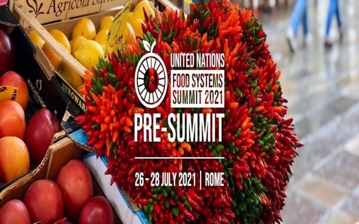 Plus de 100 pays discutent de leurs visions de l'avenir alimentaire national pour accélérer l'action mondiale avant le sommet de septembre