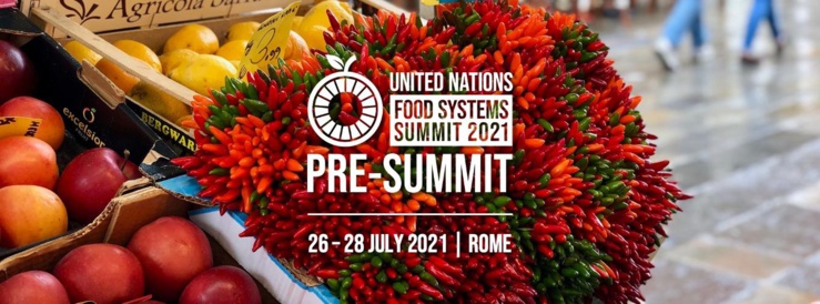 Les dirigeants africains donnent la priorité aux politiques de soutien aux jeunes et aux femmes lors du pré-sommet des Nations unies sur les systèmes alimentaires