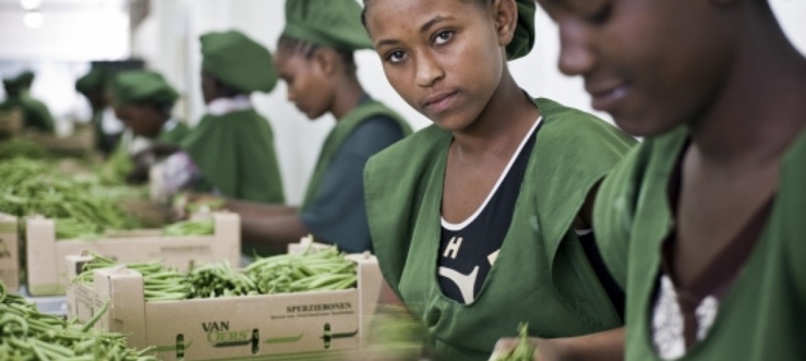 les femmes peuvent-elles bénéficier des emplois verts ?: réponse courte et conditionnelle de l'onu femme et de la banque africaine de développement