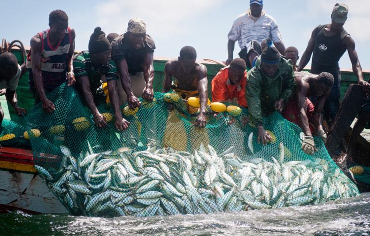Ifesinachi Okafor-Yarwood: "les accords de pêche favorisent l'union européenne et ne font pas assez pour protéger les intérêts africains"