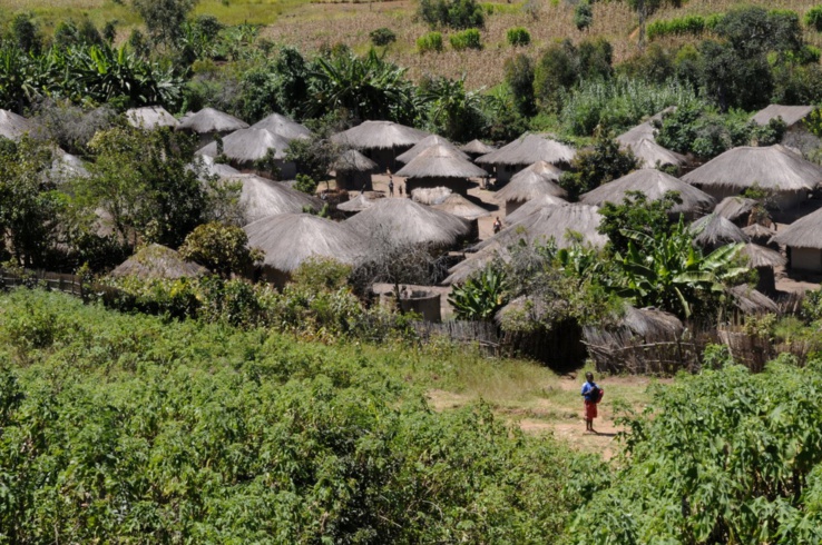 une nouvelle façon de mesurer la pauvreté rurale donne des résultats inattendus au malawi, montrant que la richesse est une notion subjective