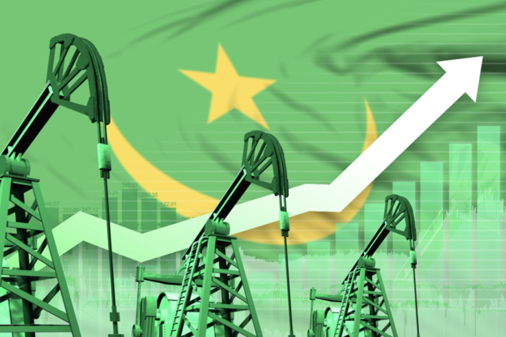 la mauritanie va devenir une nouvelle plaque tournante mondiale du gaz alors que l'expansion du marché s'intensifie