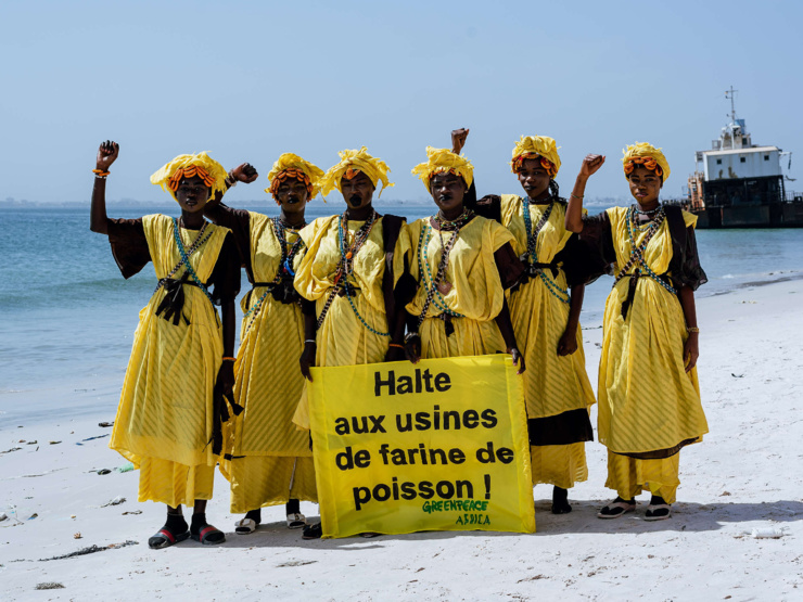 sénégal : un rapport de la fao décrie la gouvernance et la gestion des pêches 