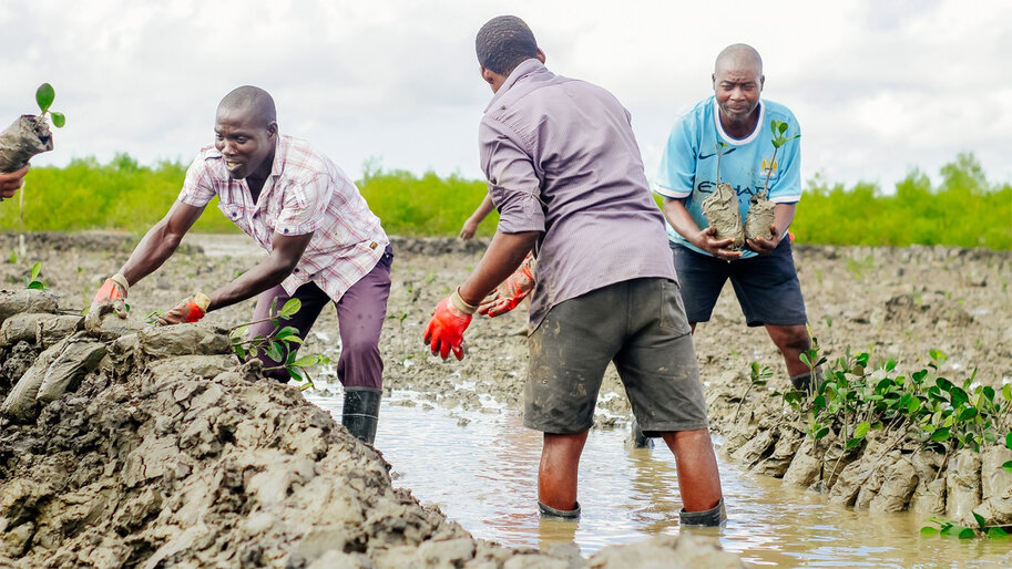 Le numérique au service de l’agriculture rurale au Sénégal