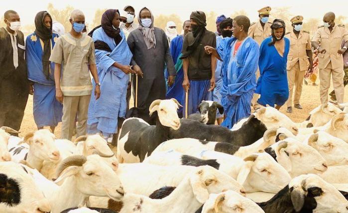 mauritanie : le gouvernement s'accorde avec la banque africaine de développement pour développer l'élevage