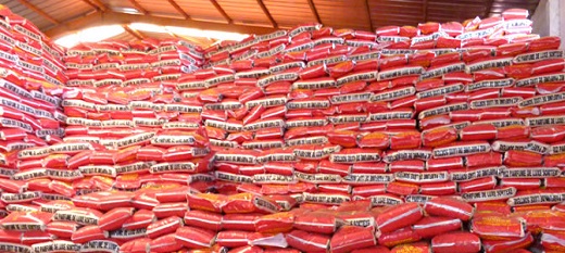 AfricaRice met en garde contre les importations de riz