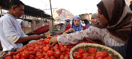 Des femmes arabes achètent du fruit issus de la transformation du secteur agricole.