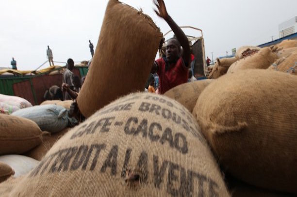 Cameroun  : le prix du cacao poursuit sa chute libre