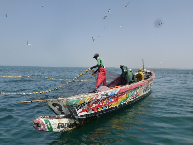 La plateforme pêche sur le changement climatique dans la région de Thiès mise en place