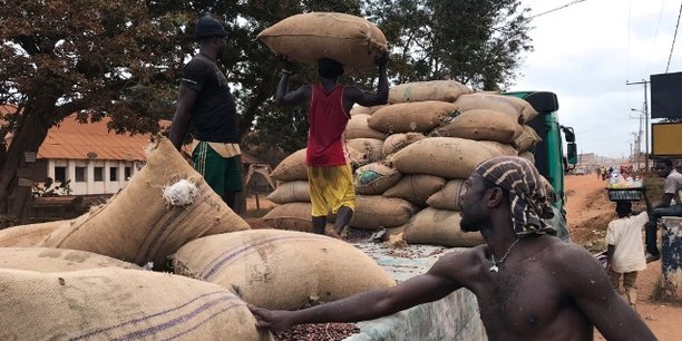Cameroun  : chute de 80% du commerce du cacao en raison de la crise sécessionniste