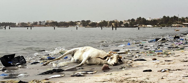 L’Etat du Sénégal a maintenant de quoi prendre en charge, de manière durable, la question de la dépollution et de la valorisation de la Baie de Hann.