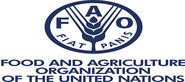 FAO : nomination d’un nouveau DG en juin 2019