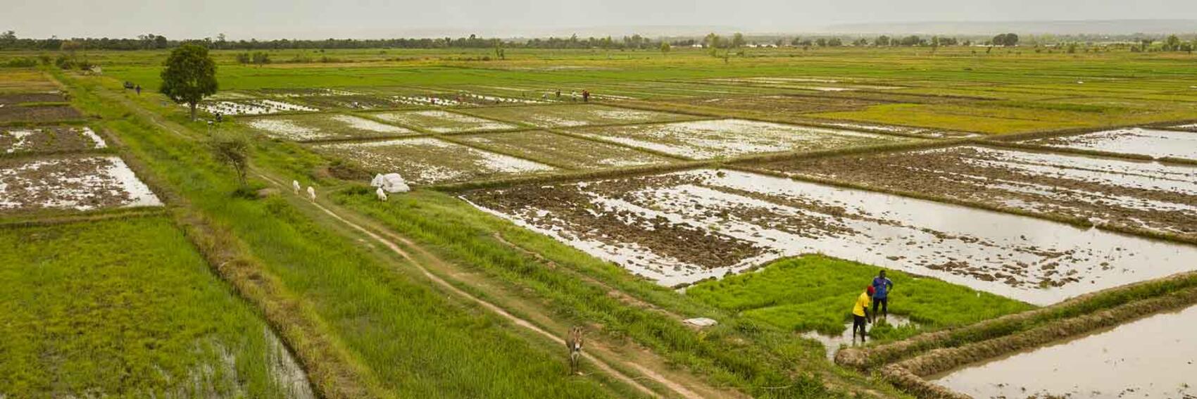 – Macky Sall invite les chefs d’Etat africains à préserver les terres arables du continent et à les valoriser pour nourrir l’Afrique.