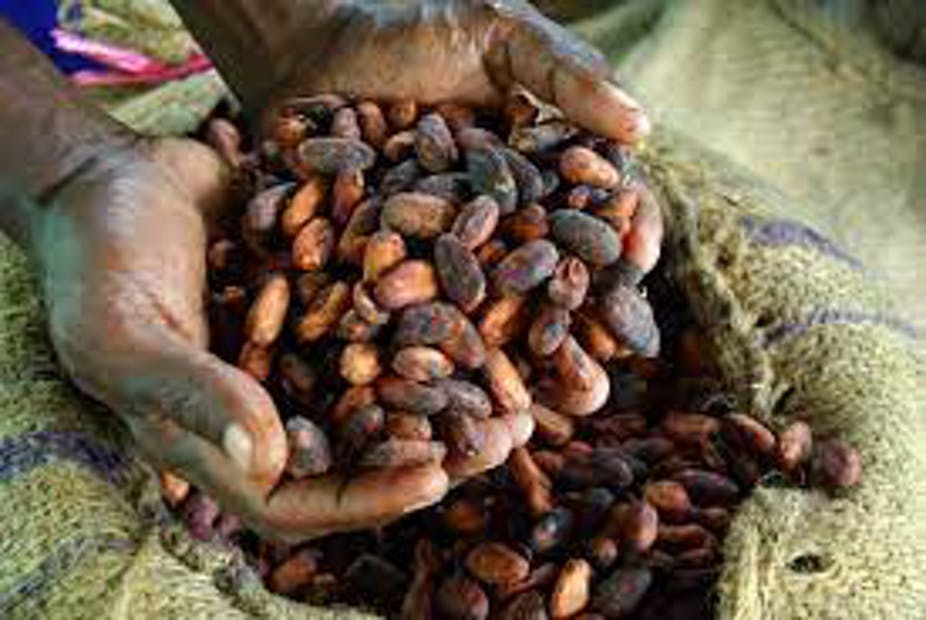 Les producteurs de cacao d'Afrique de l'Ouest sont en grande partie pauvres malgré la valeur de leur récolte. Irene Scott/Wikimedia Commons , CC BY-SA