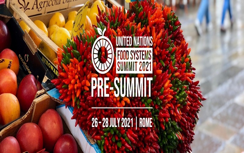 Pré-sommet des Nations Unies sur les systèmes alimentaires.