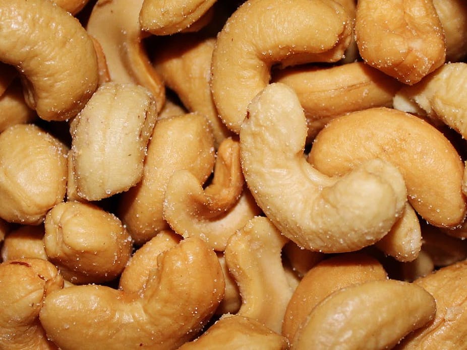 Les principaux pays producteurs de noix de cajou en Afrique déploient des stratégies pour augmenter la production et la transformation des noix de cajou brutes. Wikimedia Commons
