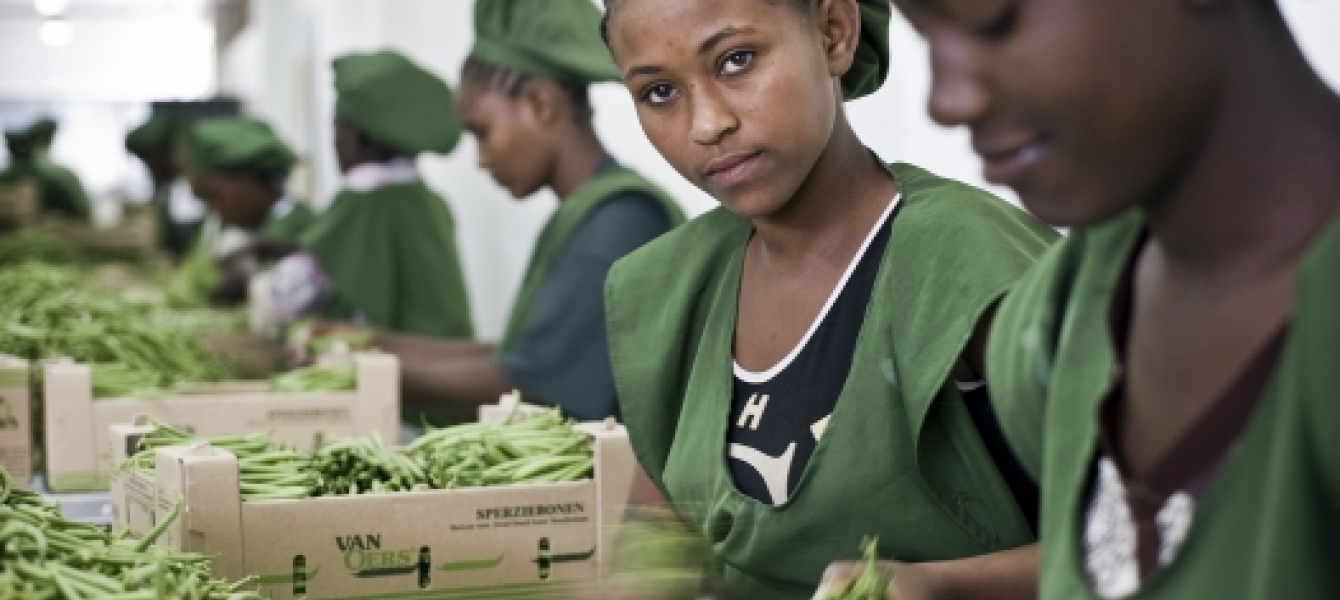 Emplois verts pour les femmes en Afrique