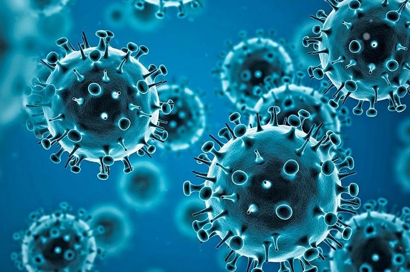Les médicaments antiviraux peuvent être la solution finale alors que l'OMS met en garde contre la baisse de notre garde face au COVID-19