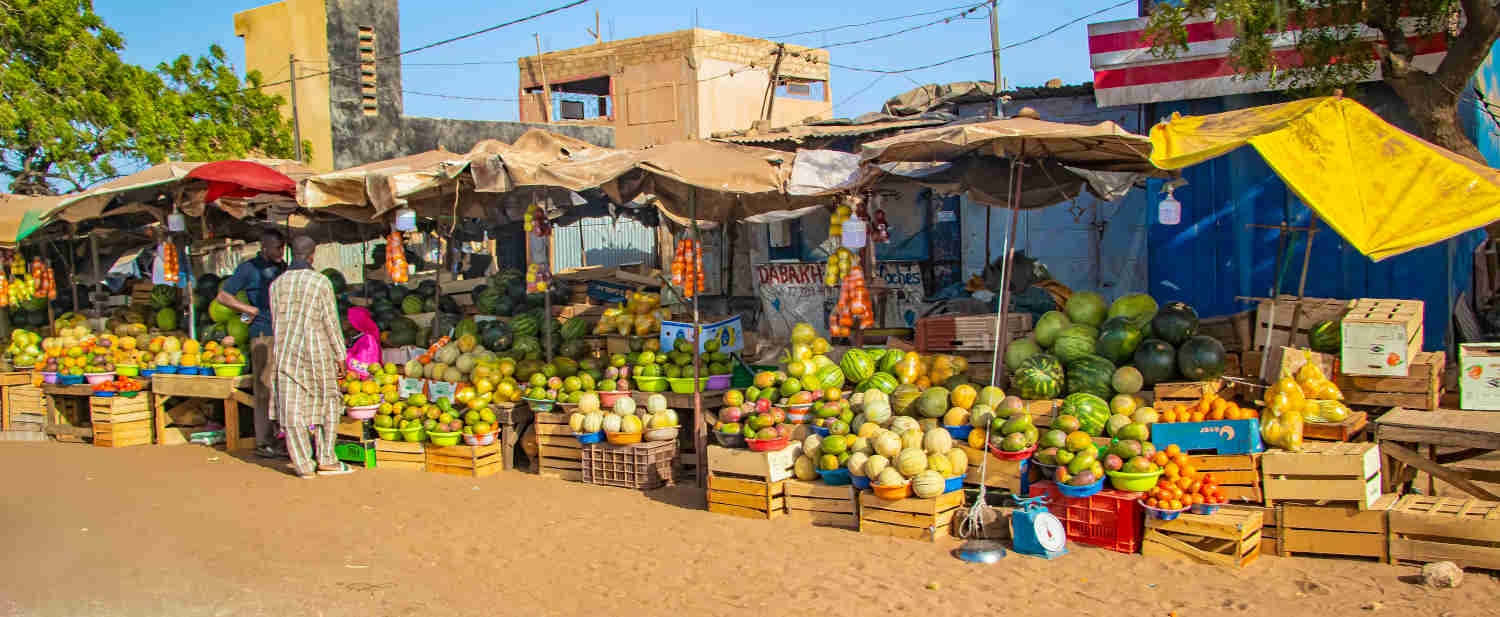 râce au soutien financier de la Banque africaine de développement, le Sénégal a vu son agriculture se transformer ces dernières années.