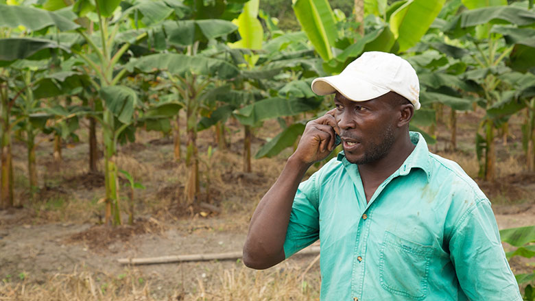 révolution numérique de l’agriculture africaine: un rapport de l’onu met en évidence les principaux obstacles et possibilités