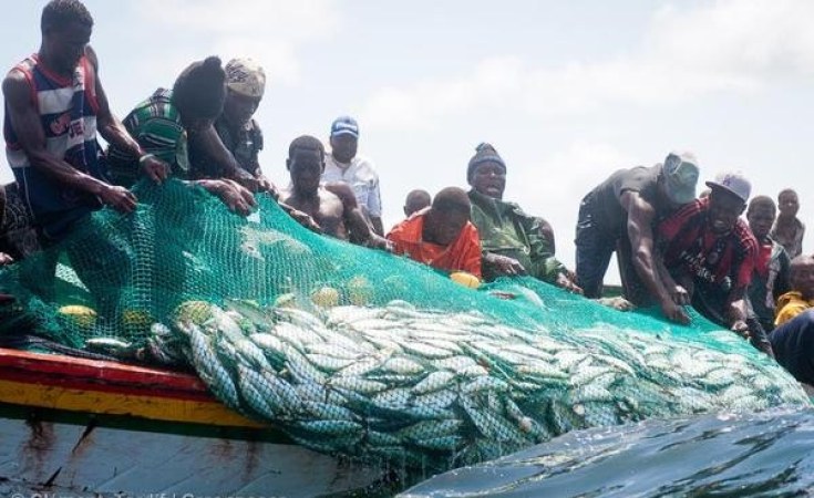 Le secteur de la pêche sénégalais.