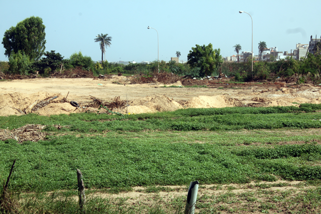sénégal : 29000 hectares de terre restaurés dans la zone des niayes et dans le cadre de la grande muraille verte