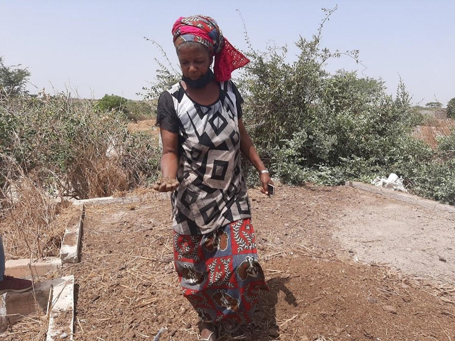 mieux garantir les droits fonciers au Sénégal pour ouvrir la voie à l’agroécologie et à l’autonomisation des femmes